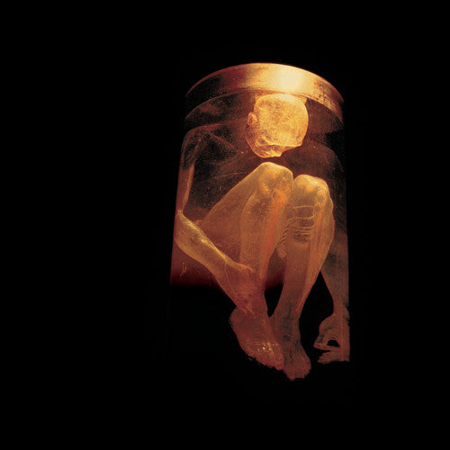 Alice in Chains - Nothing Safe: Best of CD