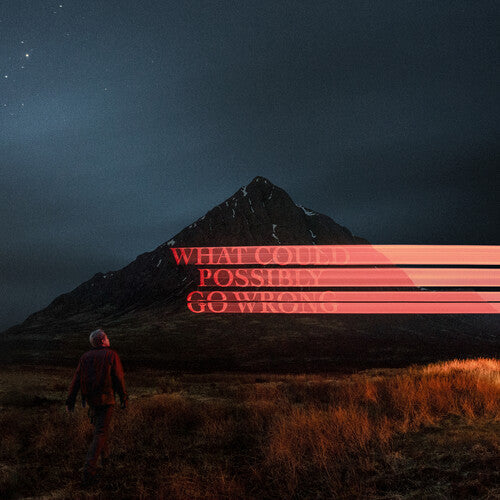 Dominic Fike - What Could Possibly Go Wrong LP (140g, Gatefold, + Poster)