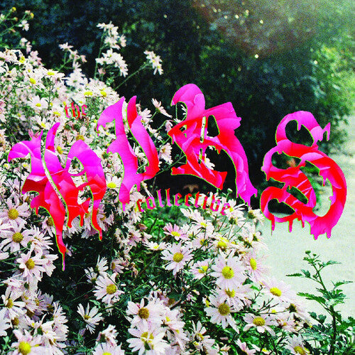 Hirs Collective - We're Still Here LP (Colored Vinyl, White, Gatefold Lp Jacket)