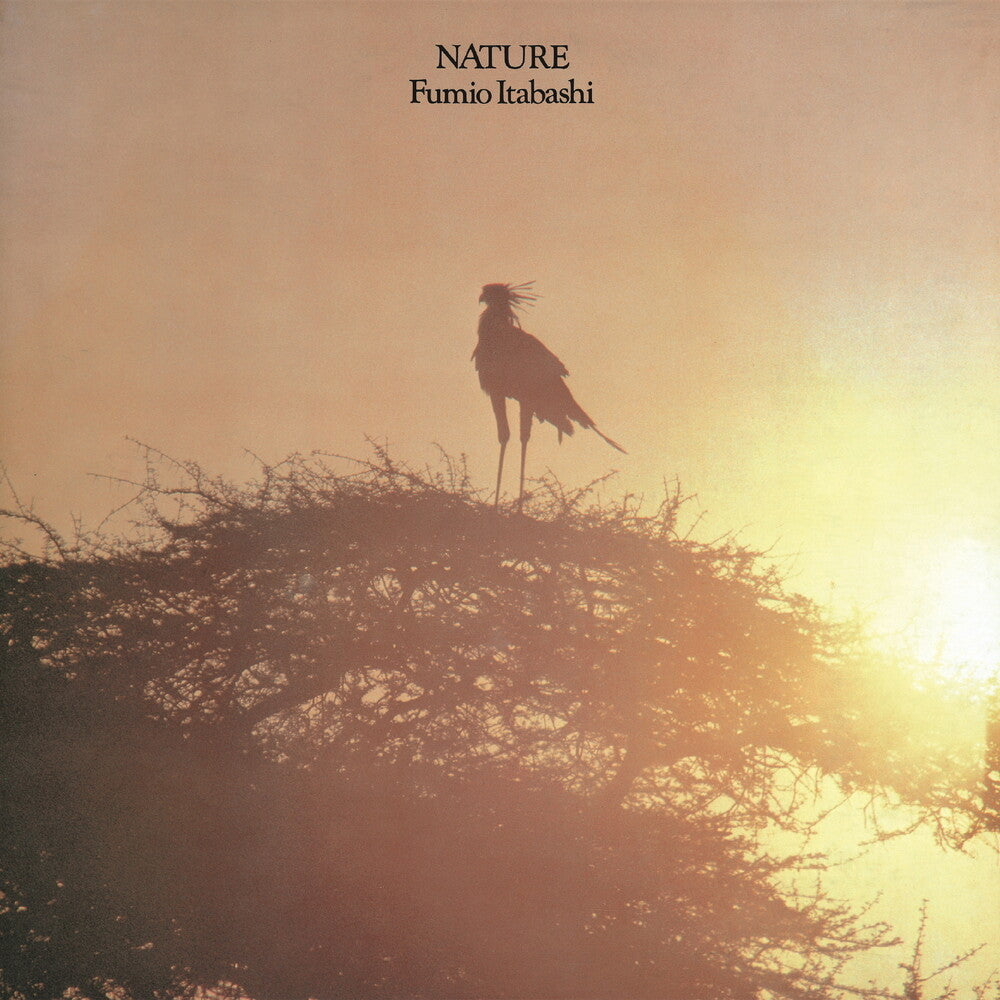 Fumio Itabashi - Nature LP (Preorder: Ships June 5, 2026)