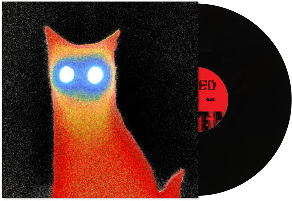 Basement - WIRED LP