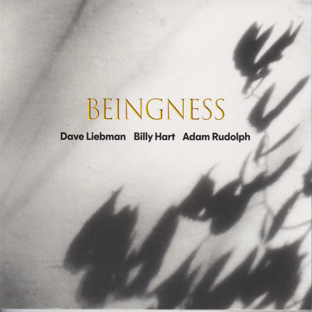 Dave Leibman / Hart,Billy / Rudolph,Adam - Beingness LP (Colored, Limited Edition, 180 Gram)