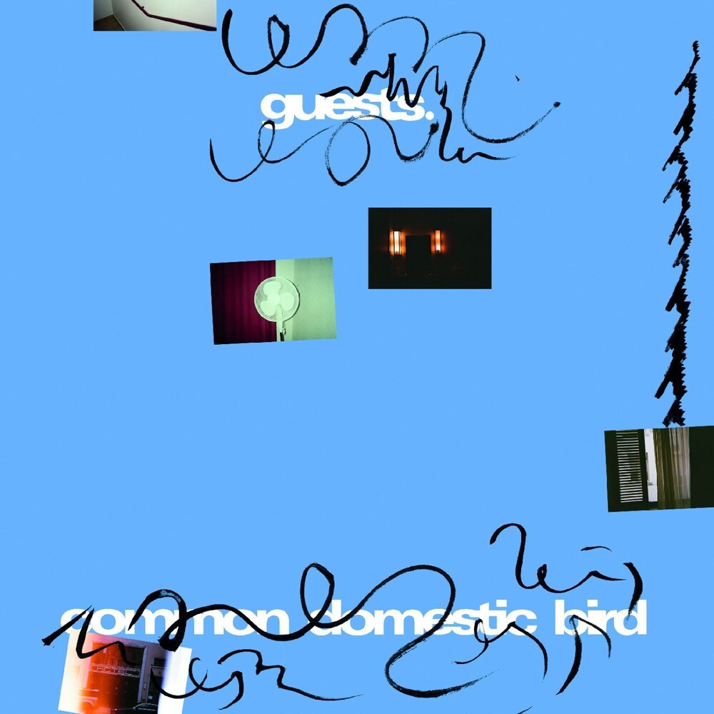 Guests - Common Domestic Bird LP (Preorder: Ships June 12, 2026)