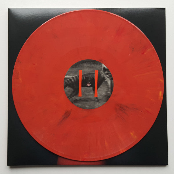 Chelsea Wolfe - Pain Is Beauty (2xLP) (Near Mint (NM or M-)) USED