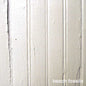 Beach Fossils - S/T CD