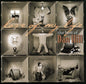 Dan Hill - Love of My Life: Best of CD (Canada - Import)