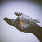Gregory Isakov - With The Colorado Symphony LP (Digital Download Card)