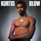 Kurtis Blow - Kurtis Blow "The Breaks" LP