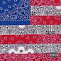 Joey Badass - All-Amerikkkan Bada$$ CD
