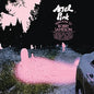 Ariel Pink - Dedicated To Bobby Jameson 2LP (Deluxe Edition)