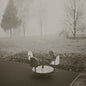 Jesu - Ascension 2LP