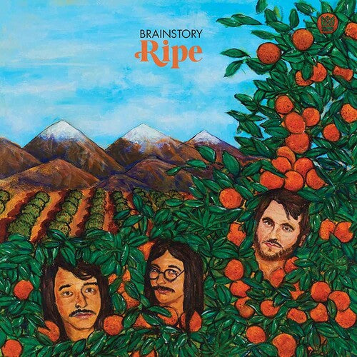 Brainstory - Ripe 12"