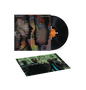 Irreversible Entanglements - Future Present Past (LP + Poster)