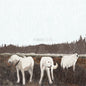 Foxing - The Albatross: Ten Years LP (Brown Colored Vinyl)