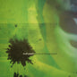 Eiafuawn - Birds in the Ground CD