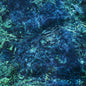 Ichiko Aoba - Luminescent Creatures CD