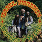Israel Vibration - Strength of My Life LP