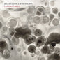 Julia Úlehla - Understories LP