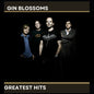 Gin Blossoms - Gin Blossoms' Greatest Hits CD