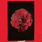 Activity - A Thousand Years in Another Way LP