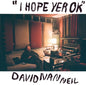 David Ivan Neil - I Hope Yer Ok LP