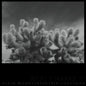 Derek Monypeny  / Corcoran,Kevin - Abacomancy LP