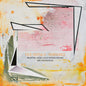 Bram Looze  De - Vice Versa Ii - Rebounce LP