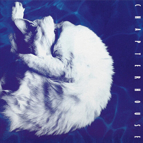 Chapterhouse - Whirlpool LP (Limited Edition, 180 Gram Vinyl, White & Black Marble Colored Vinyl)