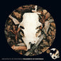 Architects Of Existence - Fragments Of Existence CD