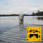Jaguar Sun - Daisy CD