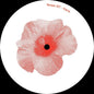 Carre - Hibiscus 12" (Ep)