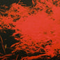 Anthony Naples - In Studio Magic LP