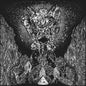 Deathbird Earth - Objective Consciousness LP