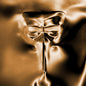 Claptone - Wanderer LP (Colored, Gol, Wht, Mrb, Uk) (Preorder: Ships June 5, 2026)