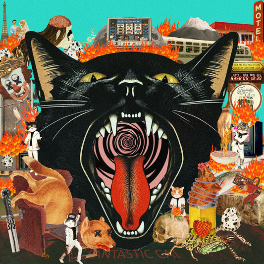 Fantastic Cat - Cat Out of Hell LP