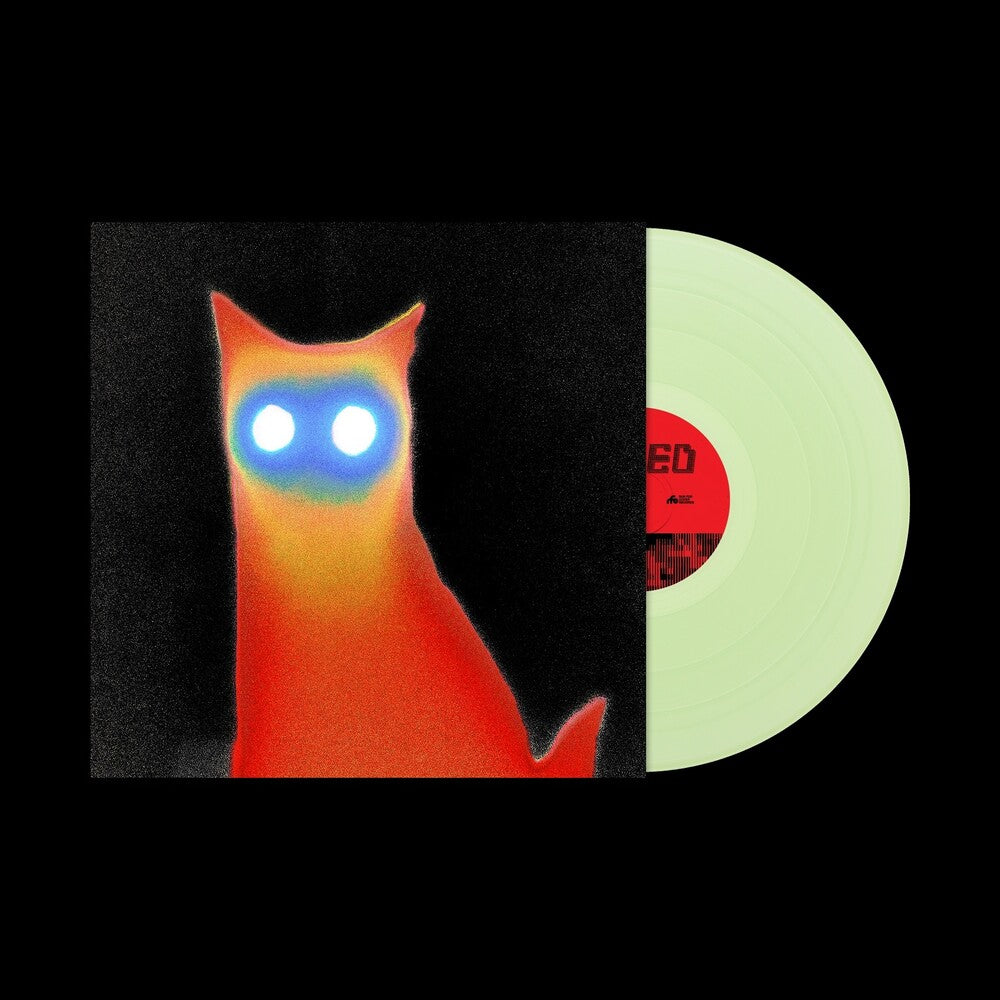 Basement - WIRED LP (Coke Bottle Clear)