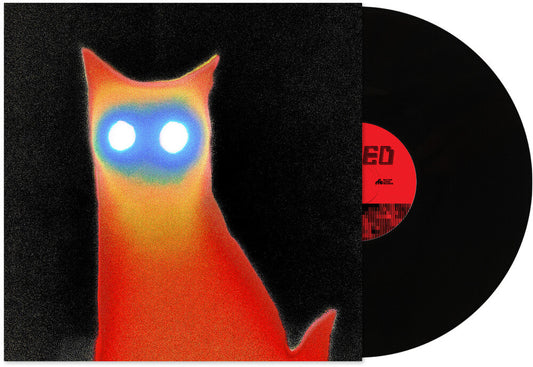 Basement - WIRED LP