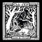Club D'Elf - Loon & Thrush LP