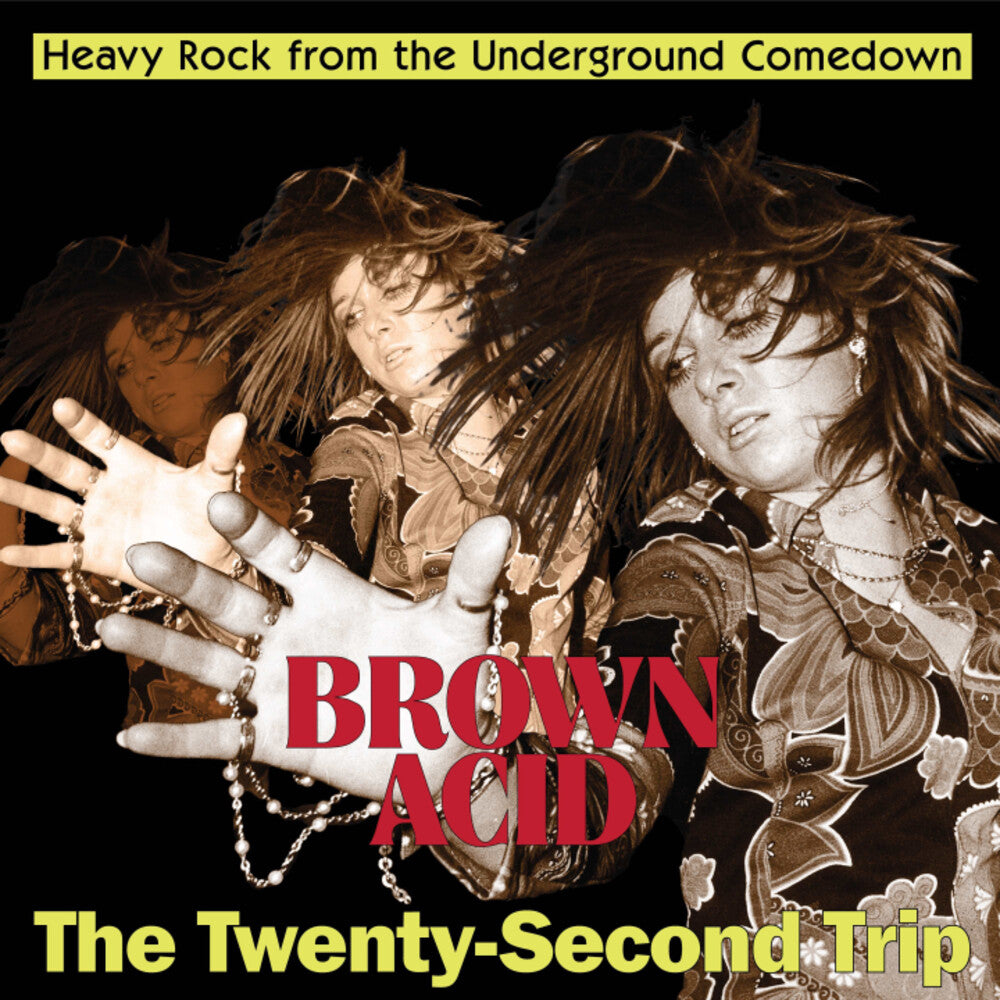 Brown Acid - Twenty-Second Trip / Various - Brown Acid - Twenty-Second Trip / Various CD