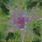 Field - Now You Exist 12" (Preorder: Ships June 19, 2026)