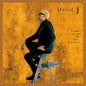 David J - Tracks From The Attic Revisited CD