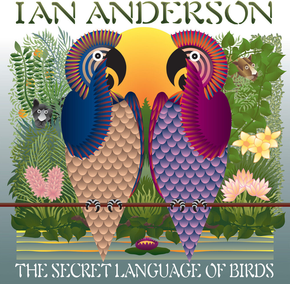 Ian Anderson - Secret Language Of Birds LP (Preorder: Ships June 12, 2026)
