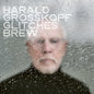 Harald Grosskopf - Glitches Brew CD (Preorder: Ships June 5, 2026)