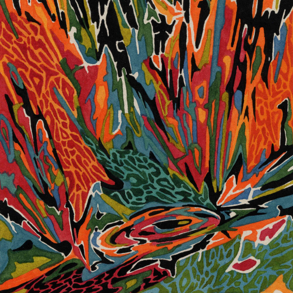 Akusmi - Terra Incognita LP (Preorder: Ships July 3, 2026)