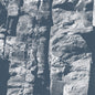 Driftwood - Maps CD (Preorder: Ships June 12, 2026)