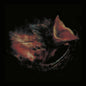 Gurriers - Nobody's Coming To Save You LP (Black) (Preorder: Ships September 25, 2026)