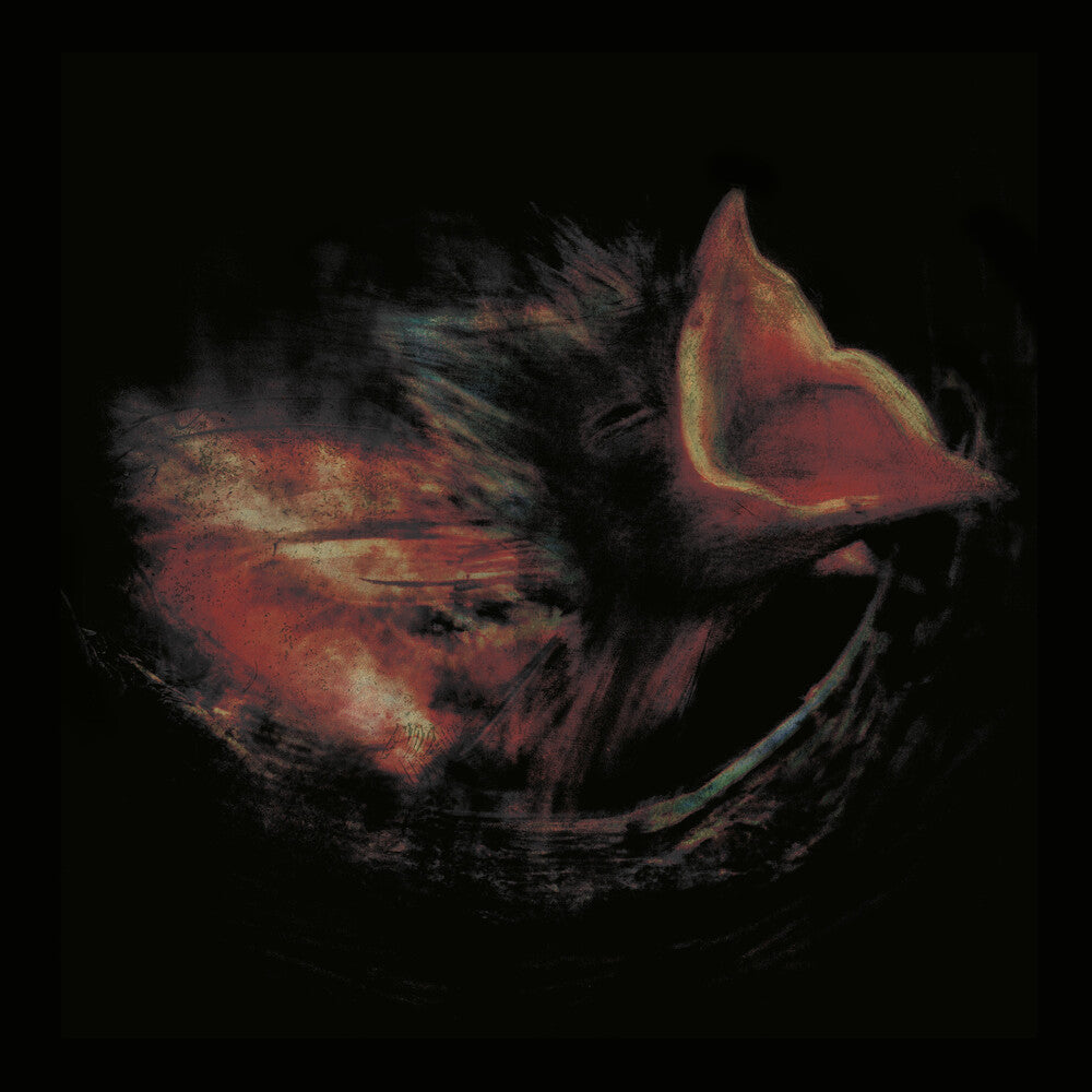 Gurriers - Nobody's Coming To Save You CD (Preorder: Ships September 25, 2026)
