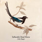 Inflatable Dead Horse - Hello Magpie LP (Preorder: Ships August 14, 2026)