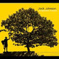 Jack Johnson - In Between Dreams CD