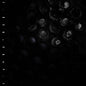 Crumb - Ice Melt LP (Gatefold)